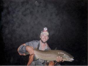 night fishing brown trout